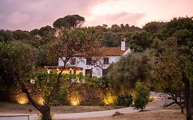 Finca Sta Teresa, Casa Grande